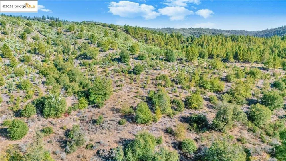 Jackass Creek Rd Groveland, CA 95321