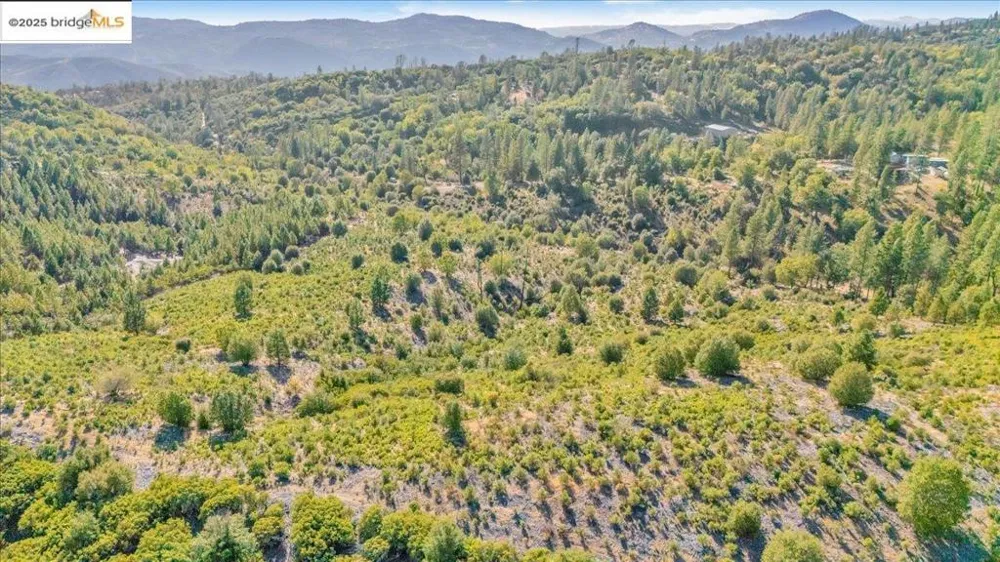 Jackass Creek Rd Groveland, CA 95321