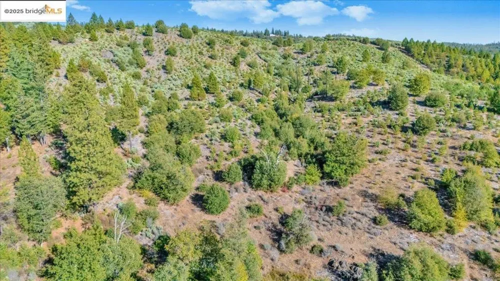 Jackass Creek Rd Groveland, CA 95321
