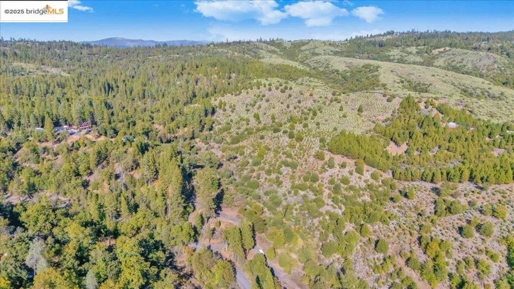 Jackass Creek Rd Groveland, CA 95321