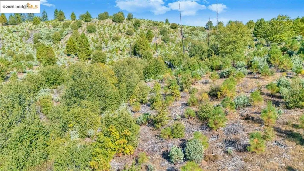 Jackass Creek Rd Groveland, CA 95321