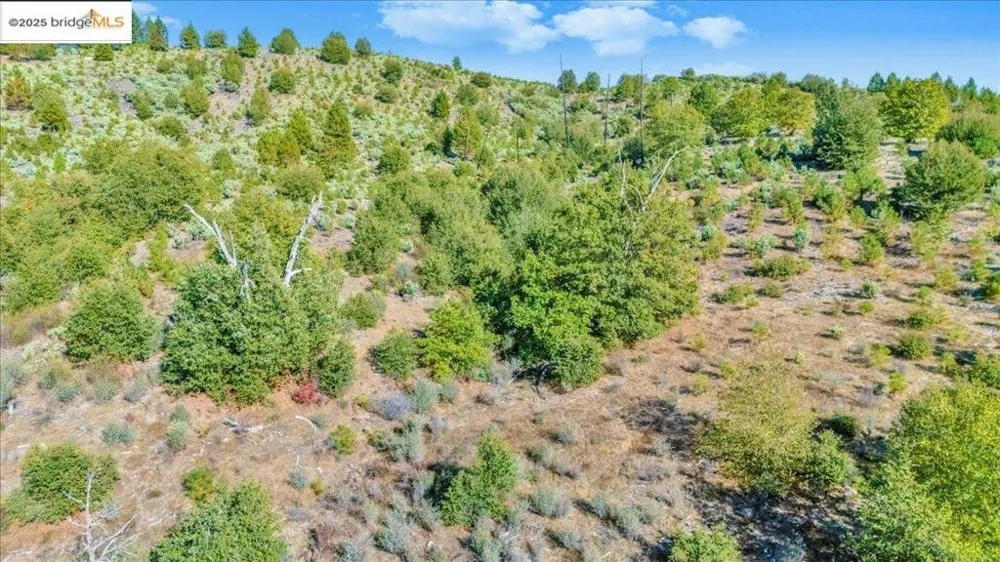 Jackass Creek Rd Groveland, CA 95321