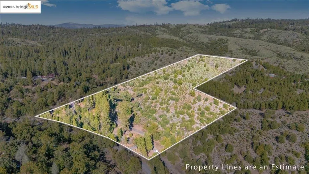Jackass Creek Rd Groveland, CA 95321
