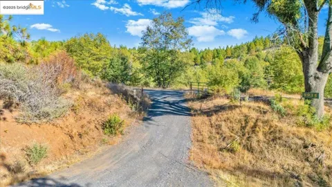 Jackass Creek Rd