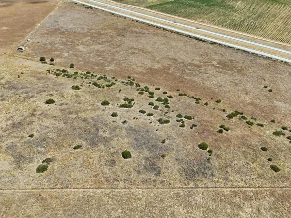 Address Not Shown San Ardo, CA 93450