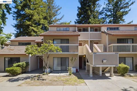 39964 Fremont Blvd