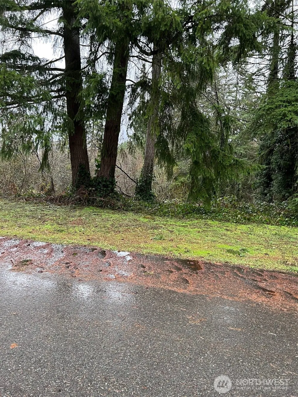 186 xx NE 161st Place Woodinville, WA 98072