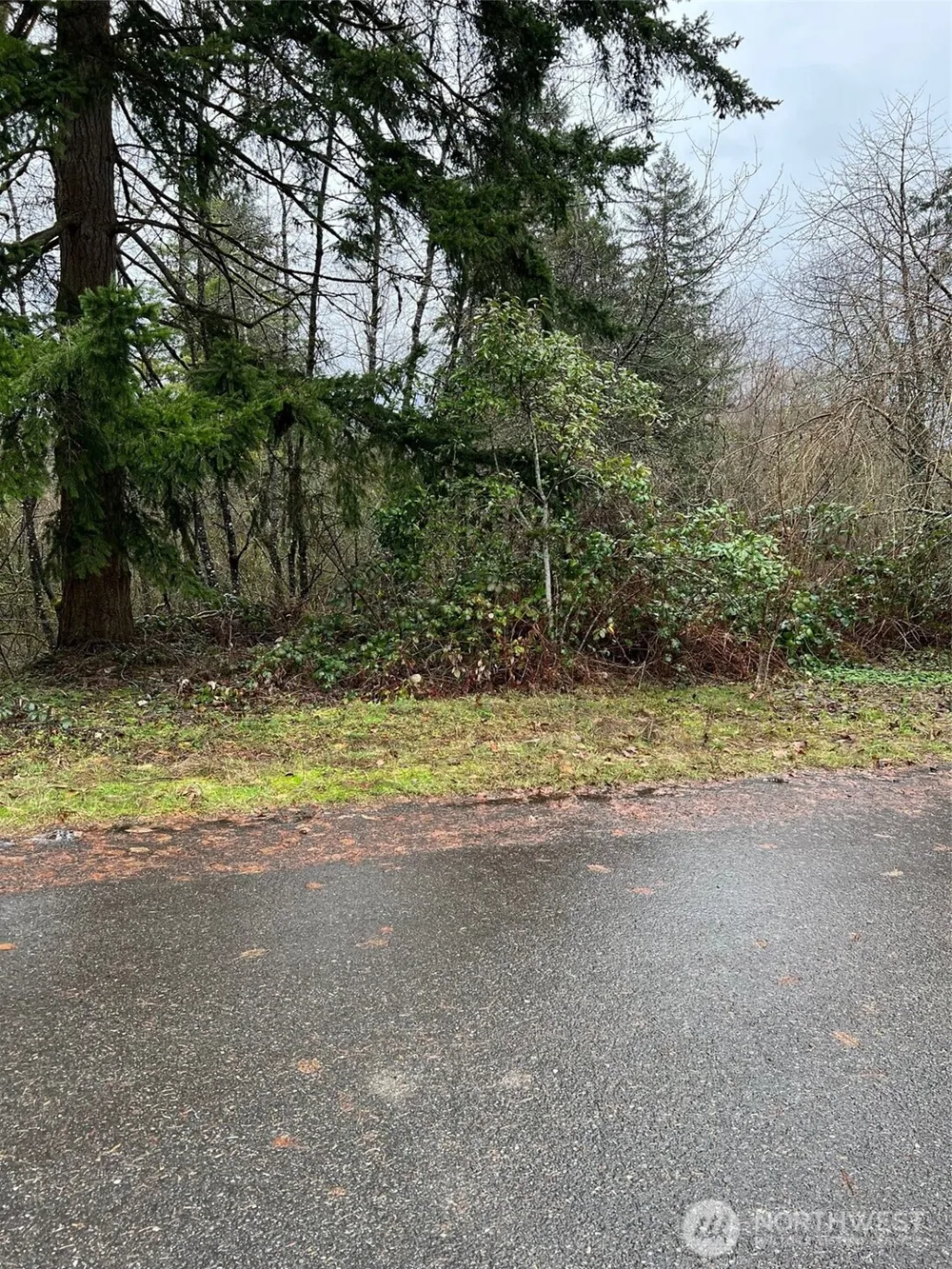 186 xx NE 161st Place Woodinville, WA 98072