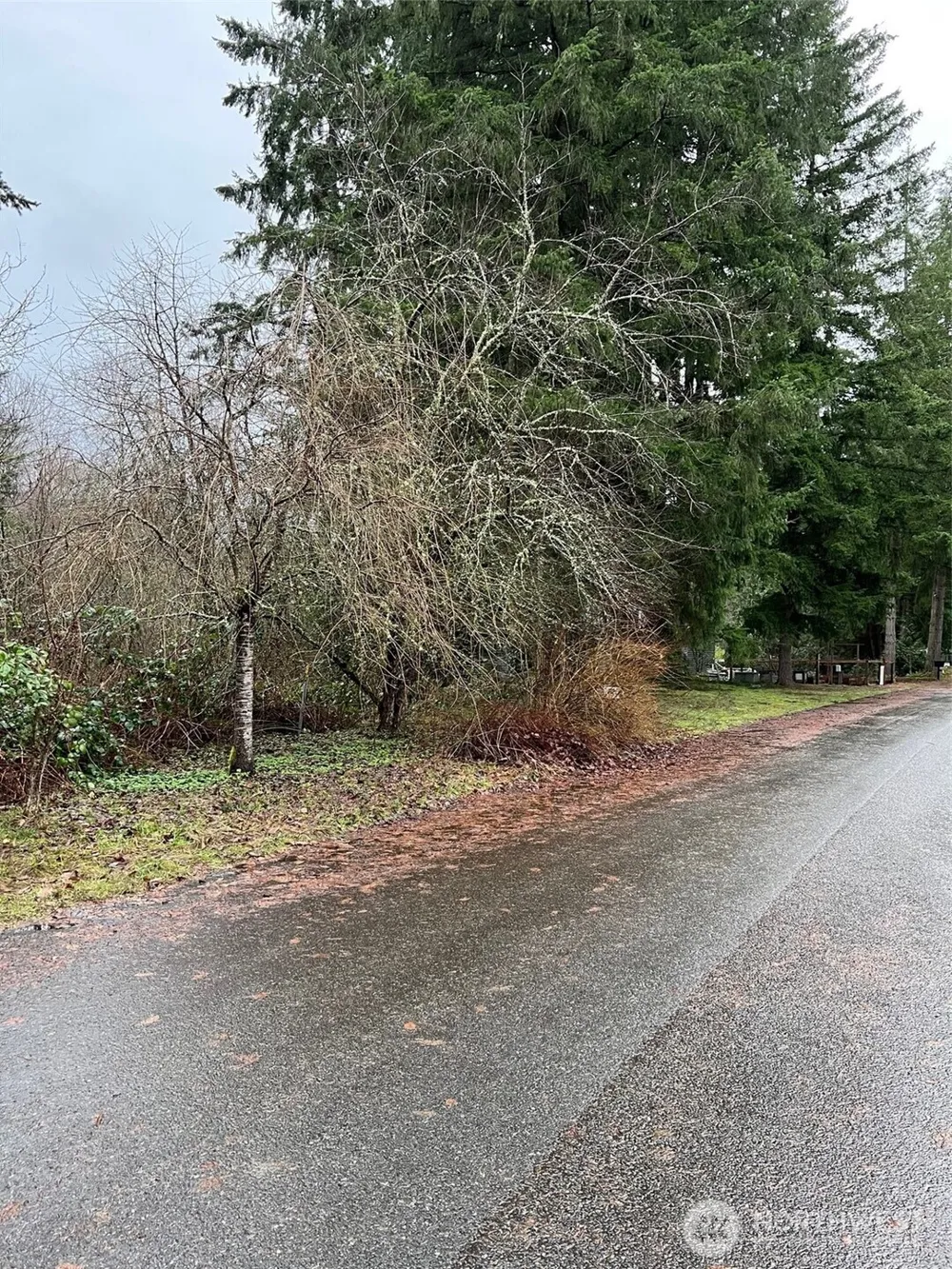 186 xx NE 161st Place Woodinville, WA 98072