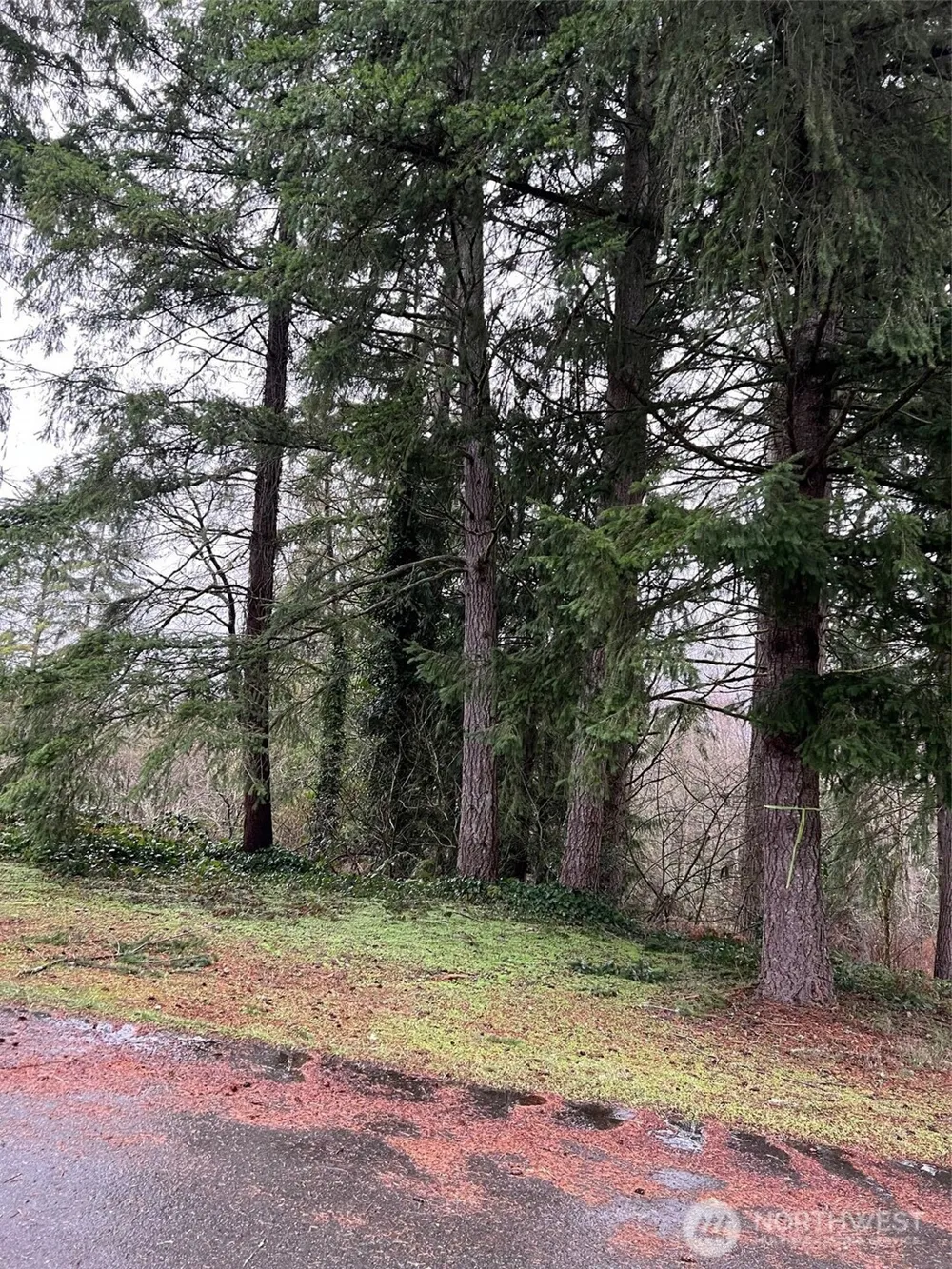 186 xx NE 161st Place Woodinville, WA 98072