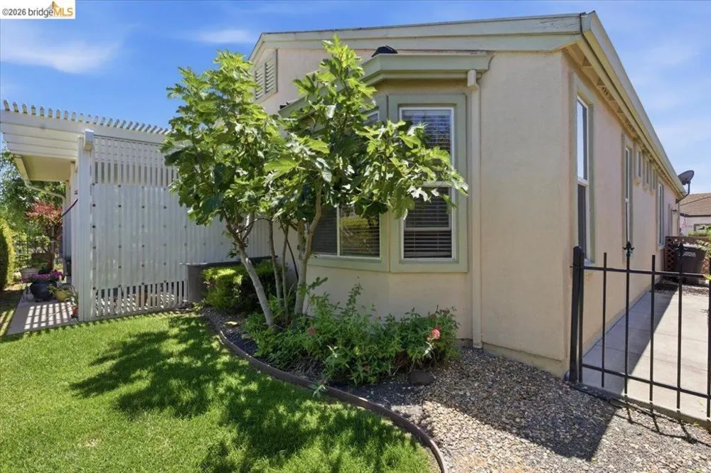 282 Cedar Ridge Rio Vista, CA 94571