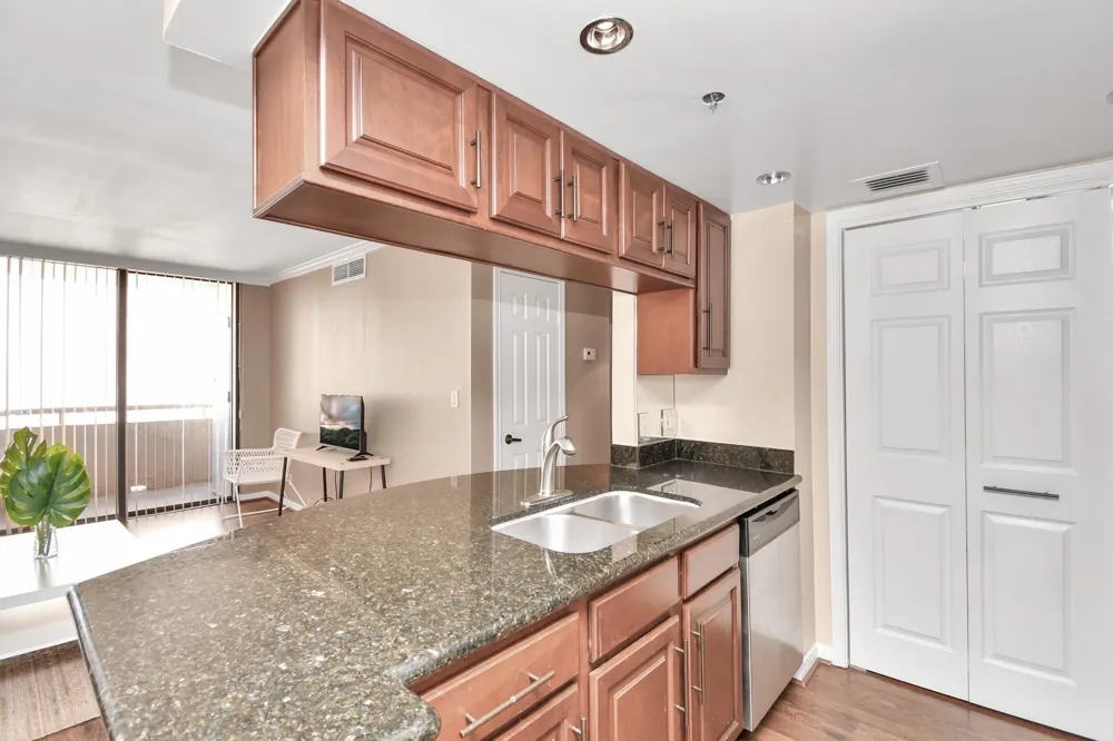 3525 Sage Road #1314 Houston, TX 77056