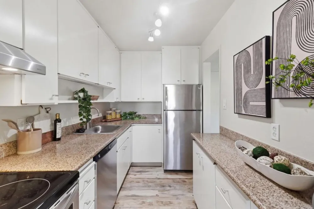 815 Humboldt Street #302 San Mateo, CA 94401