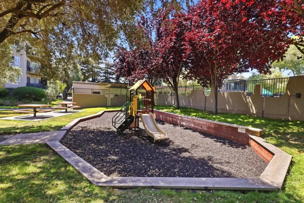 815 Humboldt Street #302 San Mateo, CA 94401