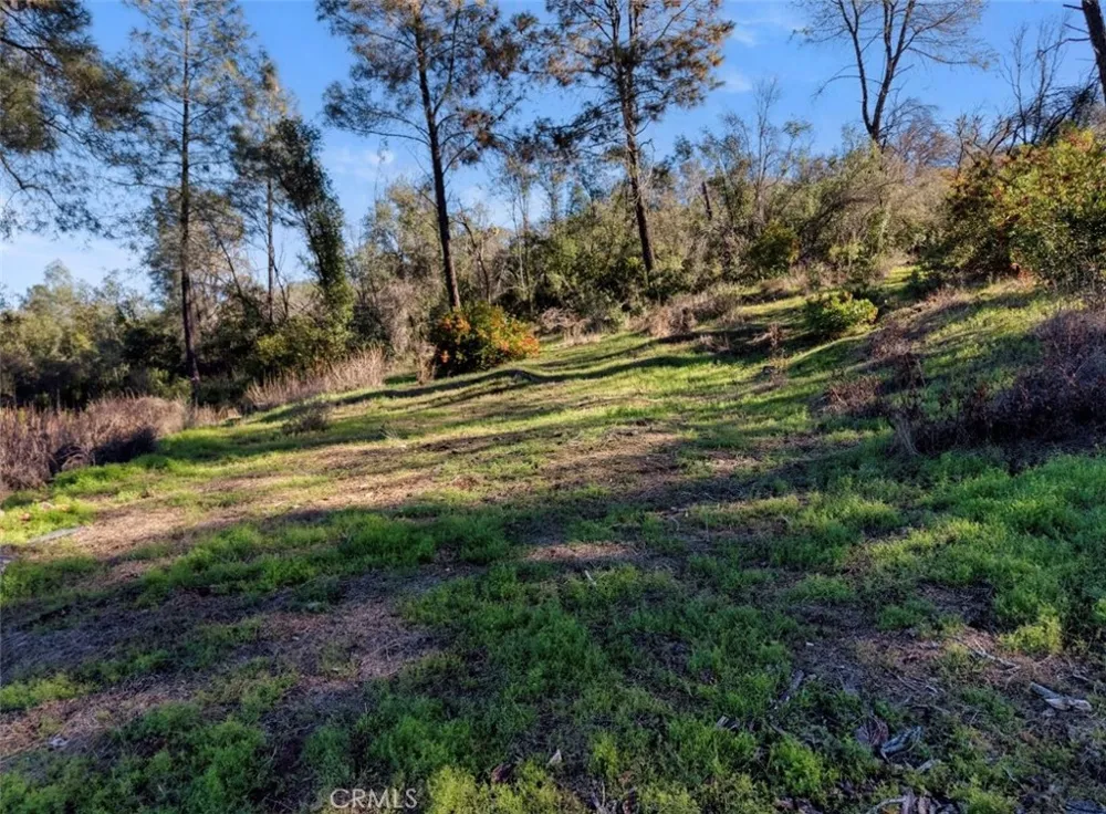 3522 Filmore Avenue Clearlake, CA 95422