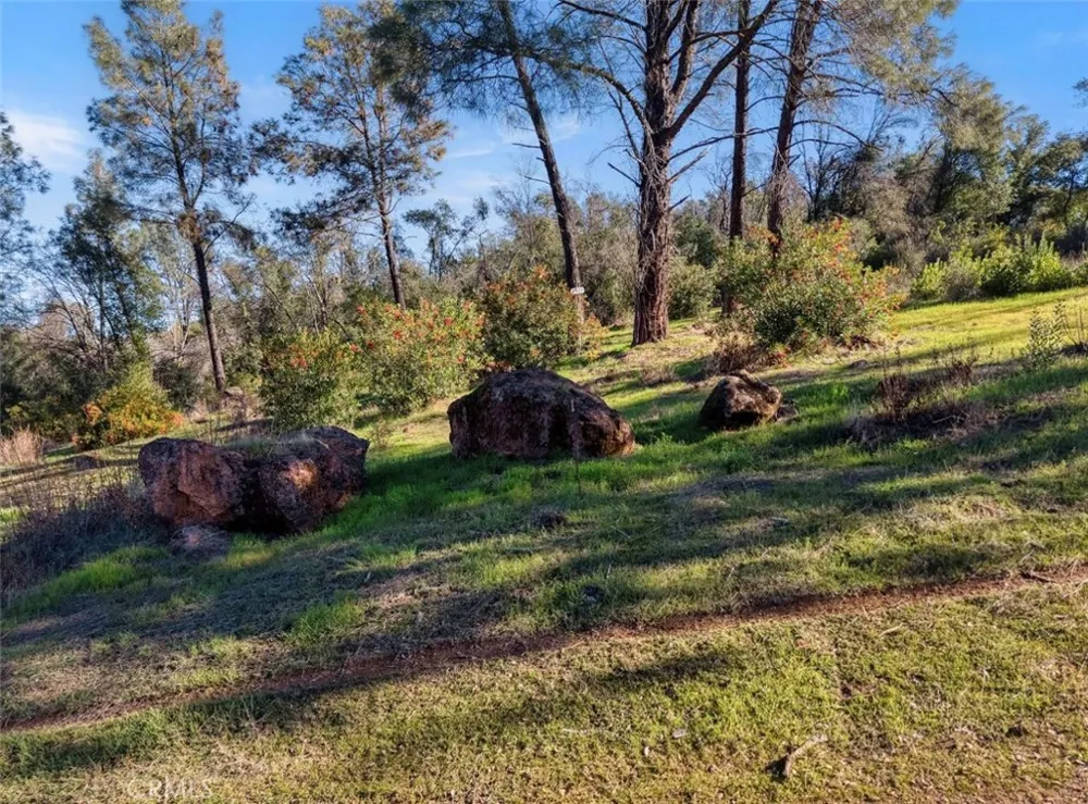 3522 Filmore Avenue Clearlake, CA 95422