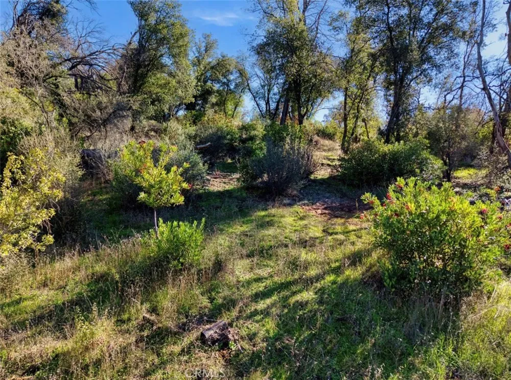 3522 Filmore Avenue Clearlake, CA 95422