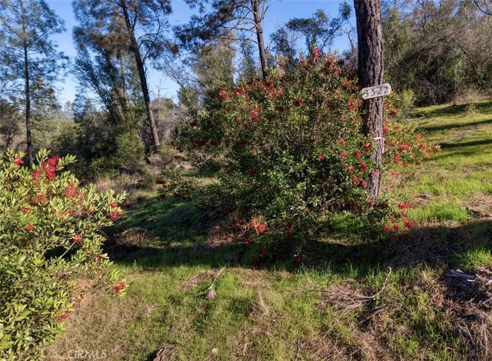 3522 Filmore Avenue Clearlake, CA 95422