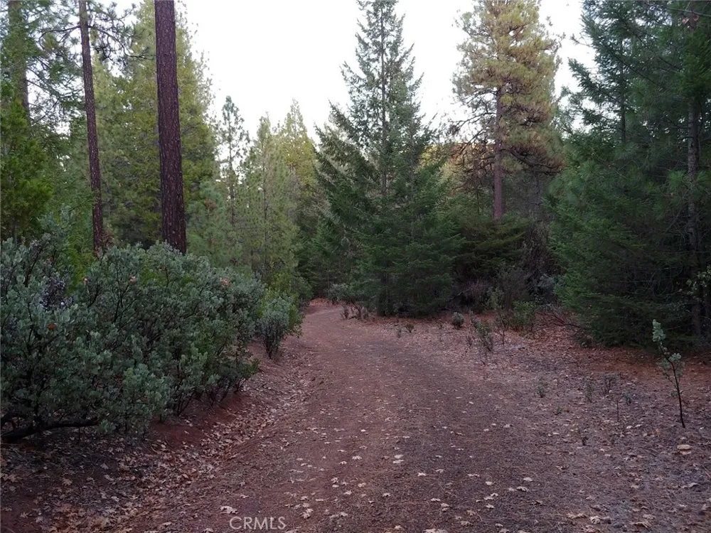 11254 Airstrip Road Loch Lomond, CA 95461