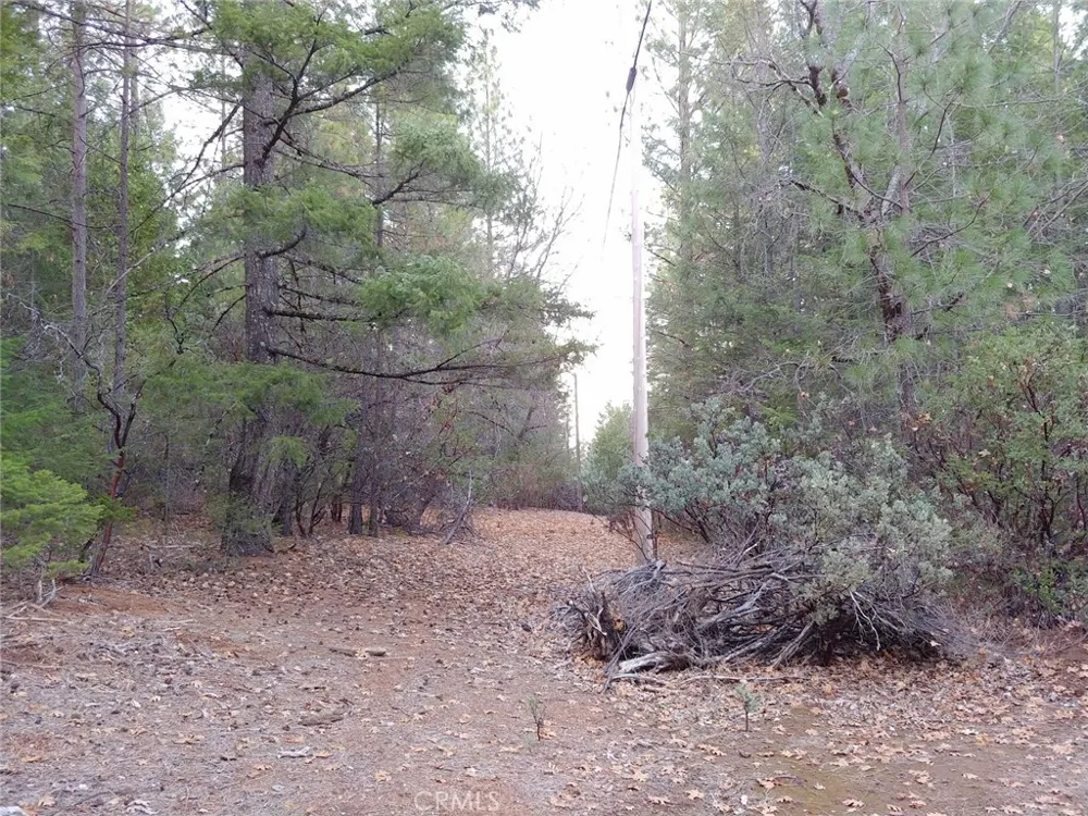 11254 Airstrip Road Loch Lomond, CA 95461