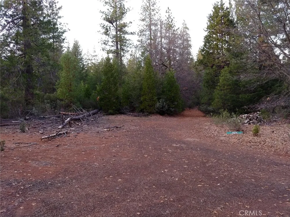11254 Airstrip Road Loch Lomond, CA 95461