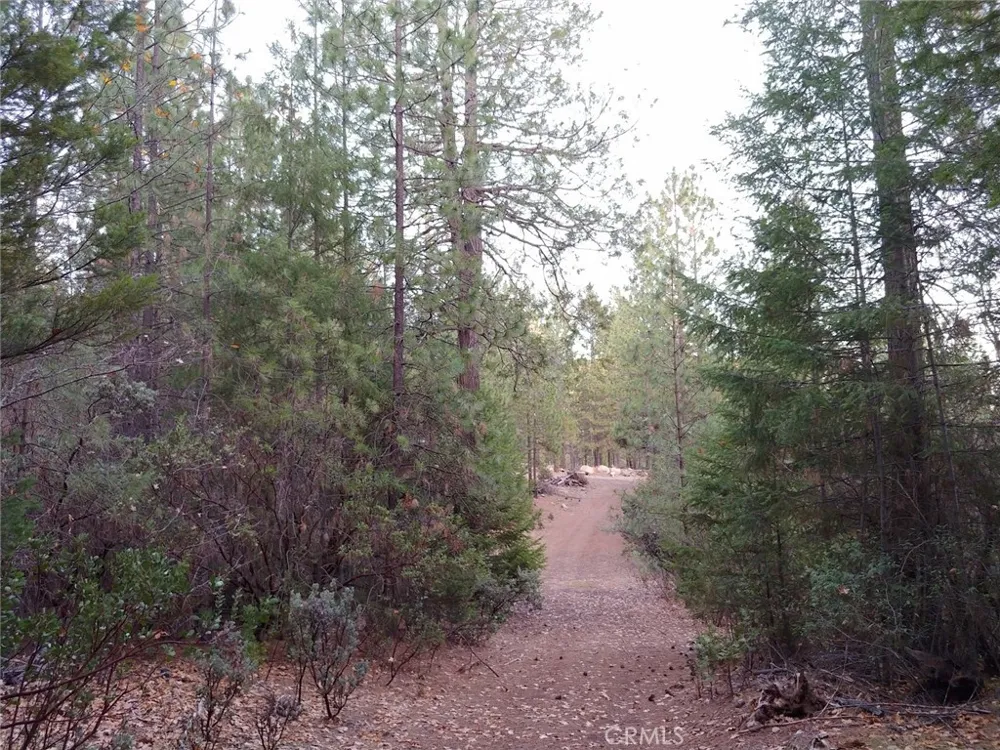 11254 Airstrip Road Loch Lomond, CA 95461