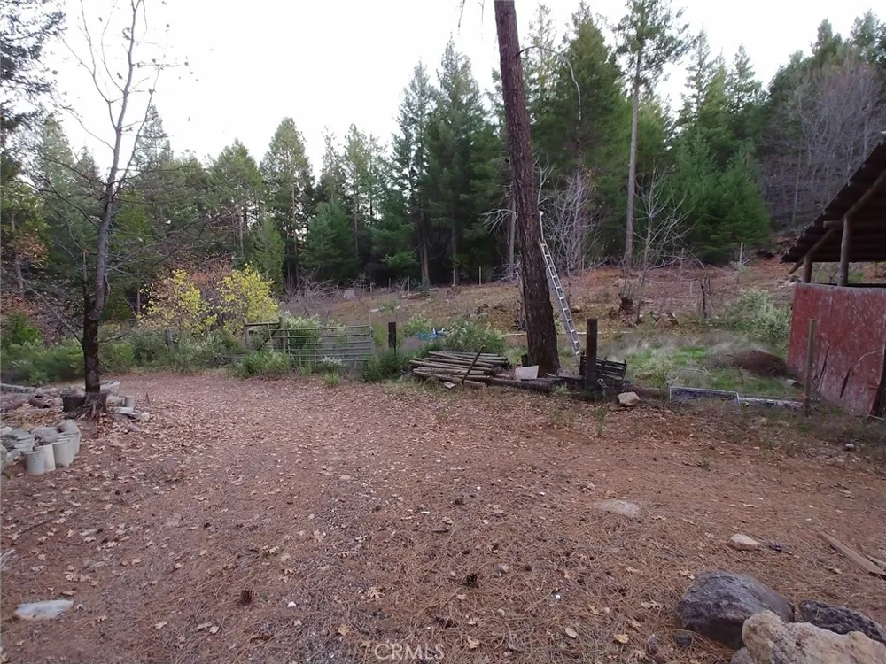 11254 Airstrip Road Loch Lomond, CA 95461