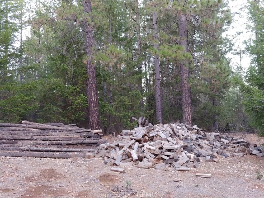 11254 Airstrip Road Loch Lomond, CA 95461
