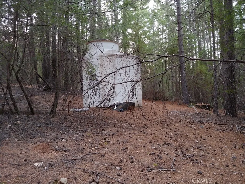 11254 Airstrip Road Loch Lomond, CA 95461