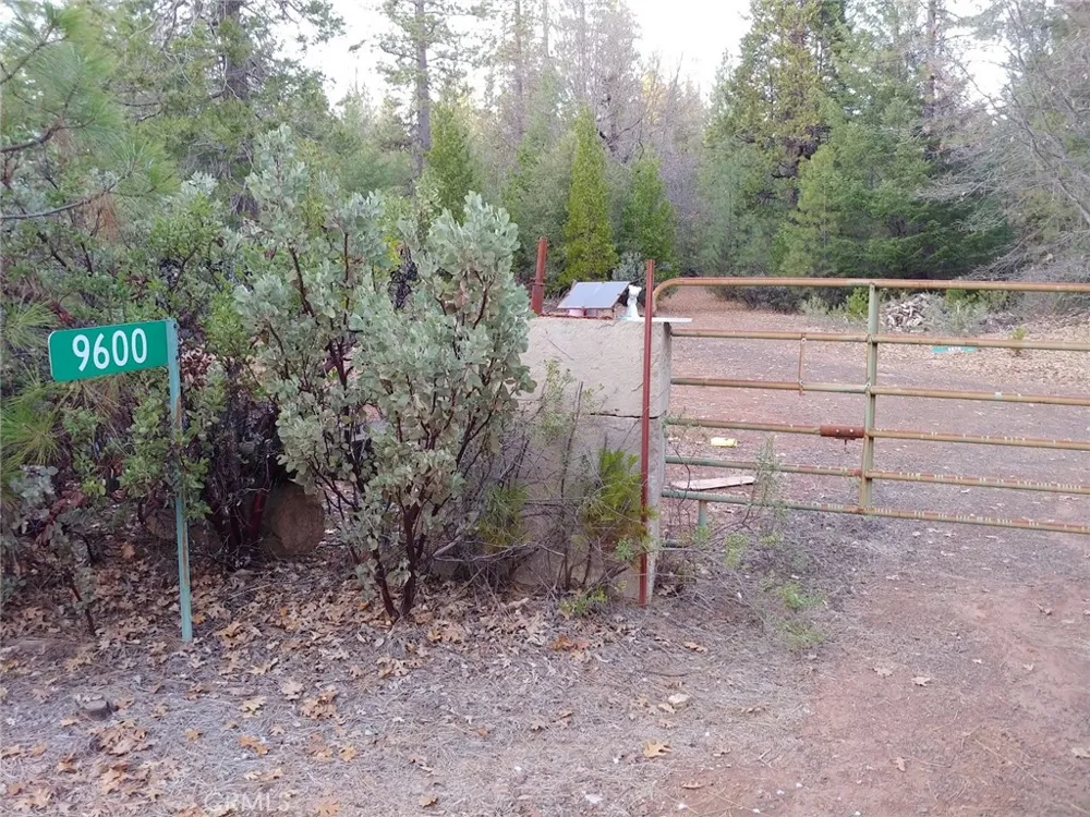 11254 Airstrip Road Loch Lomond, CA 95461