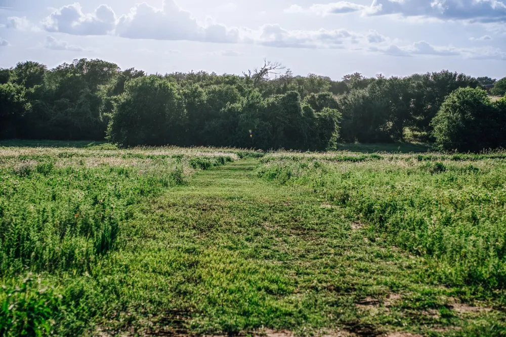 3 Pleasant Hill School Road Brenham, TX 77833