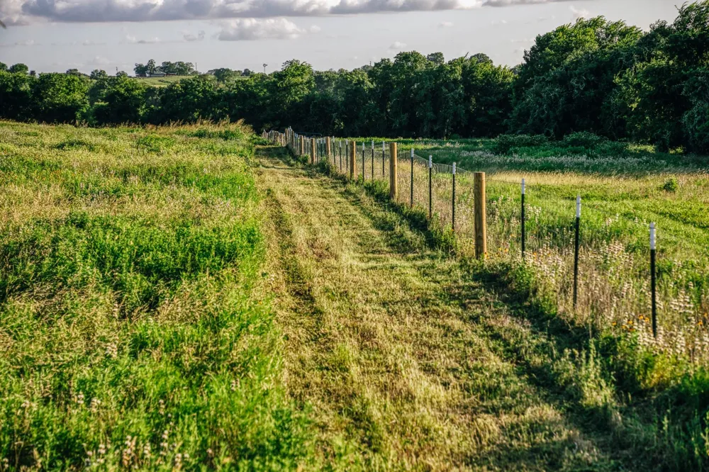 3 Pleasant Hill School Road Brenham, TX 77833