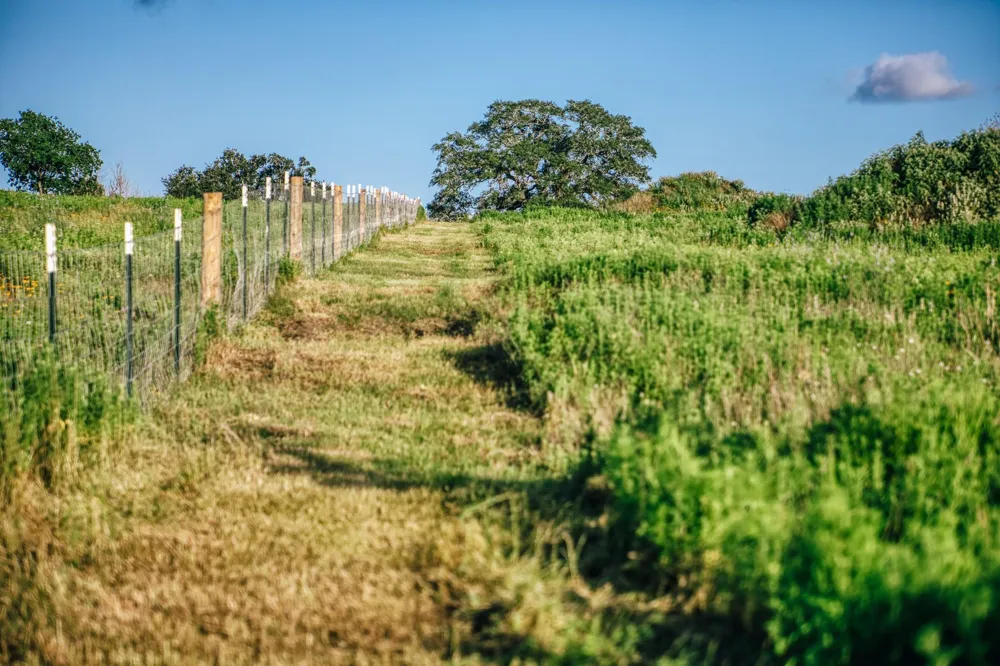 3 Pleasant Hill School Road Brenham, TX 77833