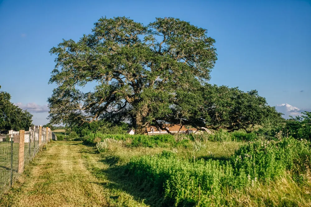 3 Pleasant Hill School Road Brenham, TX 77833