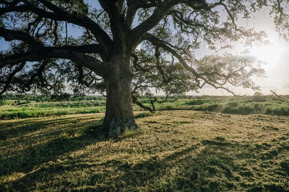 3 Pleasant Hill School Road Brenham, TX 77833