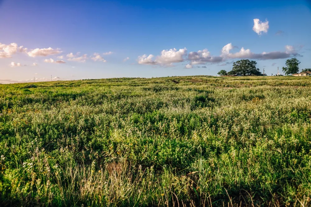 3 Pleasant Hill School Road Brenham, TX 77833