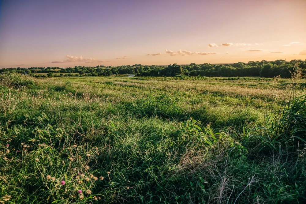 3 Pleasant Hill School Road Brenham, TX 77833