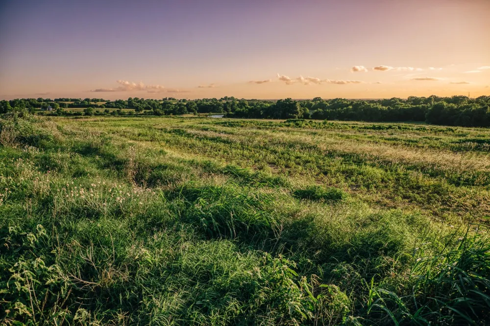 3 Pleasant Hill School Road Brenham, TX 77833