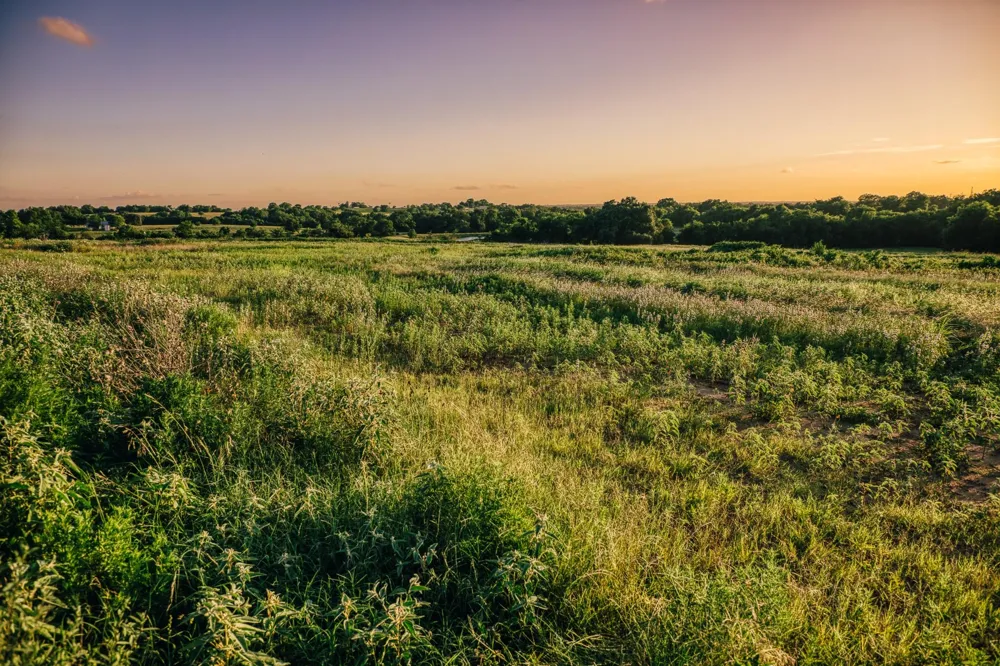 3 Pleasant Hill School Road Brenham, TX 77833