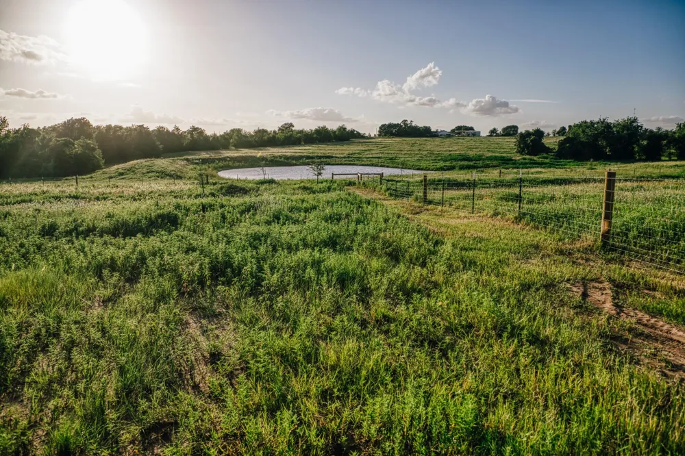 3 Pleasant Hill School Road Brenham, TX 77833