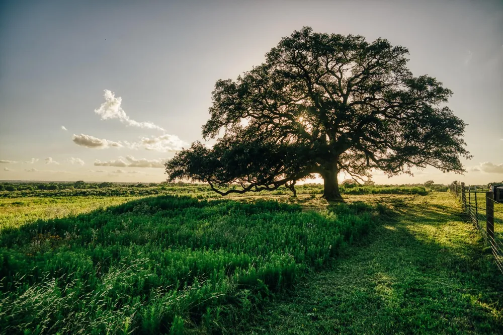 3 Pleasant Hill School Road Brenham, TX 77833