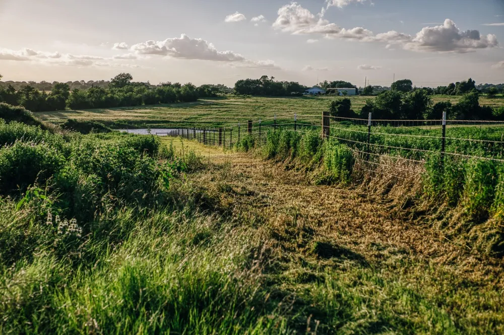3 Pleasant Hill School Road Brenham, TX 77833