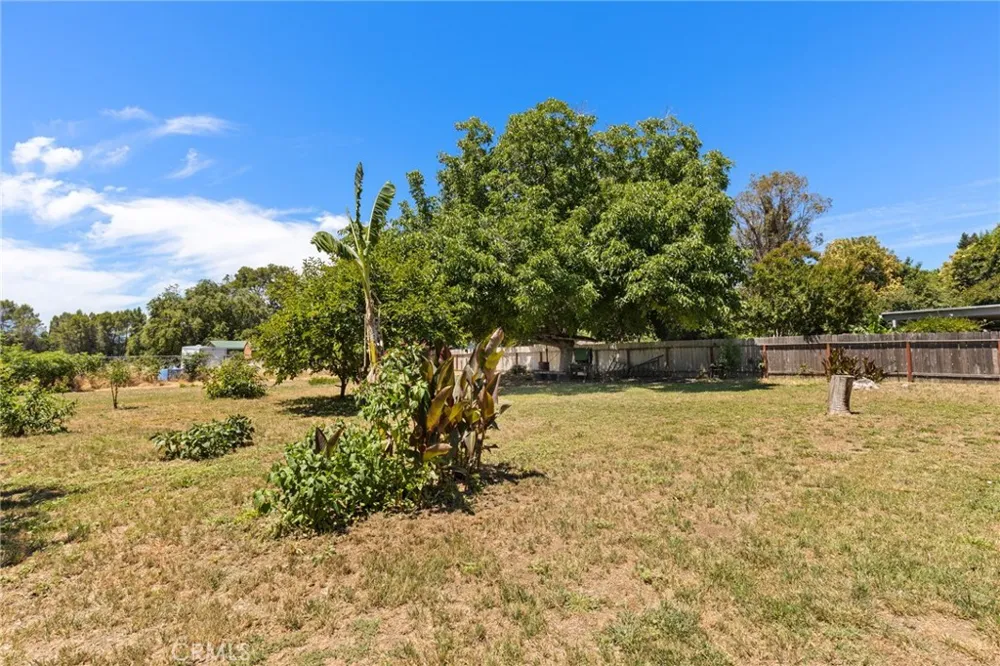 3361 Hackamore Lane Chico, CA 95973