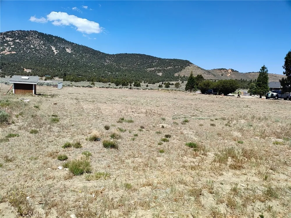 45313 4th Lane Big Bear City, CA 92314
