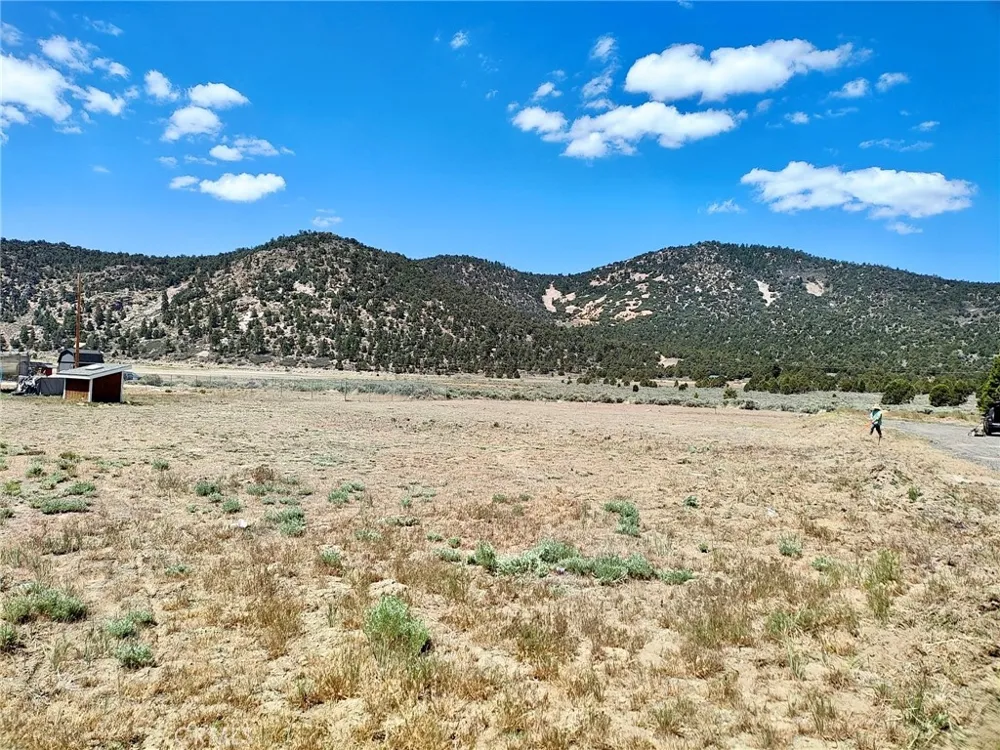 45313 4th Lane Big Bear City, CA 92314