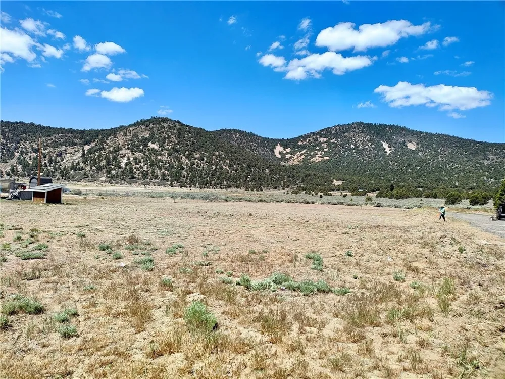 45313 4th Lane Big Bear City, CA 92314