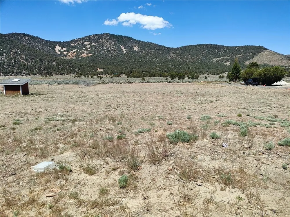 45313 4th Lane Big Bear City, CA 92314