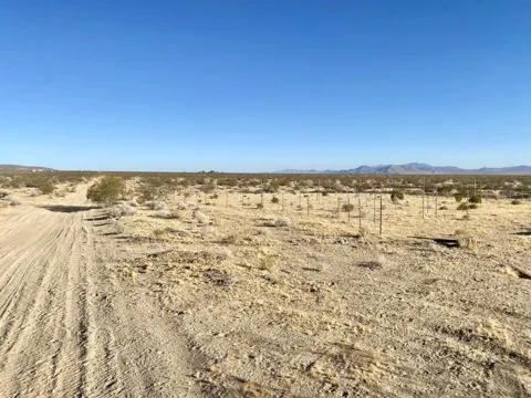 104 Joshua Tree Road