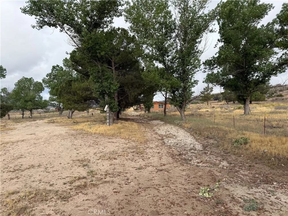 45051 Bonny Lane Aguanga, CA 92536