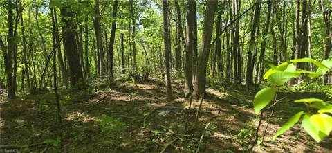 00 Goose Creek Lane